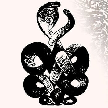 Disco de vinil Bardo Pond - Volumes 4 & 5 (Limited Edition) (2 LP) - 1