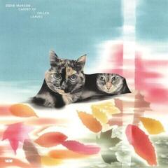LP ploča Eddie Marcon & Eddie Marcon - Carpet Of Fallen Leaves (Limited Edition) (2 LP)