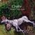 LP ploča Crake - Humans' Worst Habits (Limited Edition) (LP)