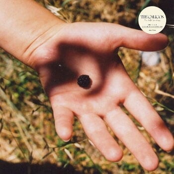 Vinyl Record The Calicos - The Soft Landing (LP) - 1