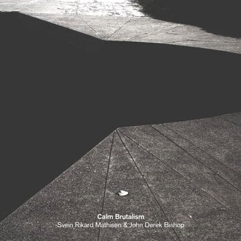 LP ploča Svein Rikard Mathisen & John Derek Bishop - Calm Brutalism (LP) - 1