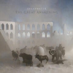 Vinyl Record Shearwater - The Great Awakening (2 LP)
