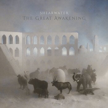 Vinyl Record Shearwater - The Great Awakening (2 LP) - 1