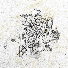 Vinyl Record Hope Drone - Husk (LP)