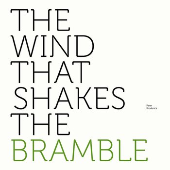 Vinyl Record Peter Broderick - The Wind That Shakes The Bramble (LP) - 1
