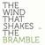 Vinyl Record Peter Broderick - The Wind That Shakes The Bramble (LP)