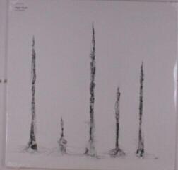 Vinyl Record Ingar Zach - Le Stanze (LP)