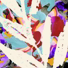 Vinyl Record The Album Leaf - Past And Future Tense (Deluxe Edition) (Coloured) (2 LP)