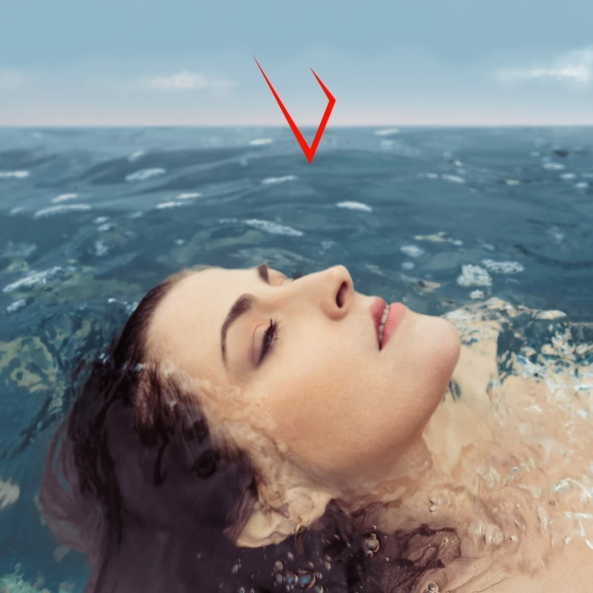 Vinyl Record Canine - Source (Limited Edition) (2 LP)