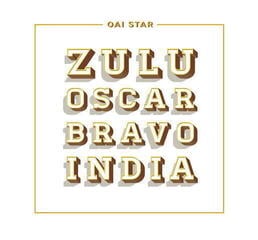 LP ploča Oai Star - Zulu Oscar Bravo India (LP)