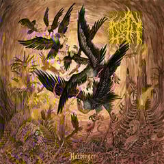 Disc de vinil Noroth - Harbinger (LP)