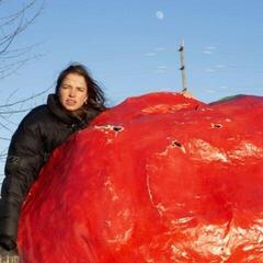 Vinyl Record PACKS - Crispy Crunchy Nothing (Indie Exclusive) (Transparent Orange Coloured) (LP)