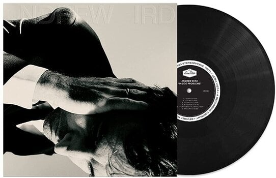 Vinyl Record Andrew Bird - Inside Problems (Limited Edition) (LP) - 1