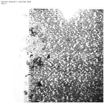 LP ploča Muellie Messiah & Punk Not Punk - Exq I (LP) - 1