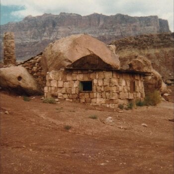 Vinyl Record Josephine Foster - Domestic Sphere (LP) - 1