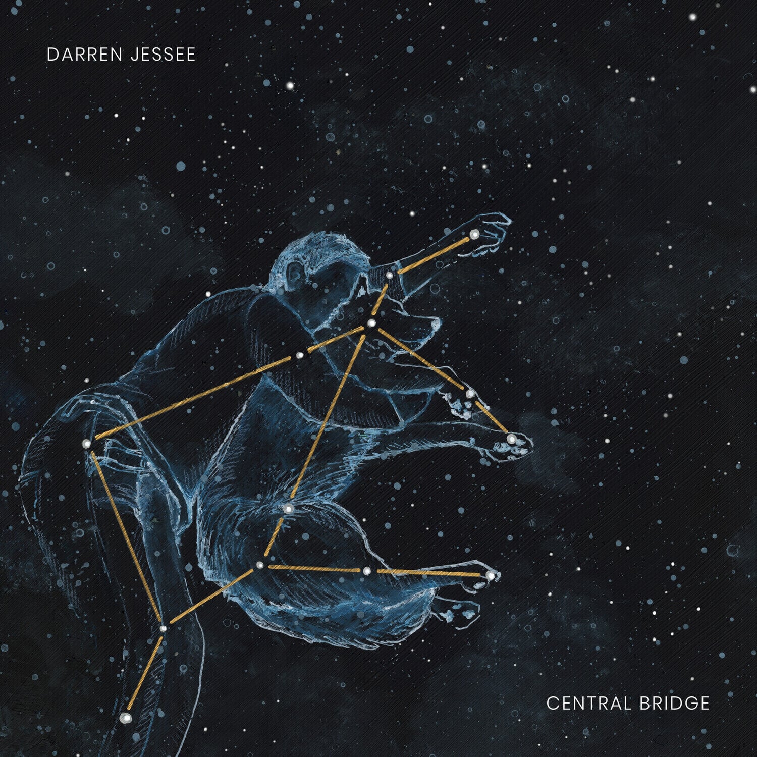 Vinyl Record Darren Jessee - Central Bridge (LP)