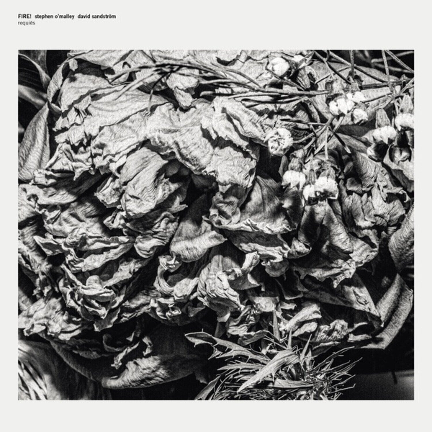 LP ploča Fire! & Stephen O'Malley & David Sandström - Requiēs (Limited Edition) (EP)