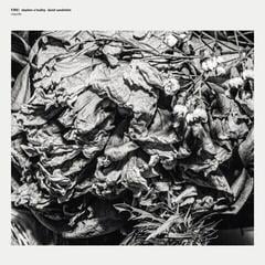 LP ploča Fire! & Stephen O'Malley & David Sandström - Requiēs (Limited Edition) (EP)