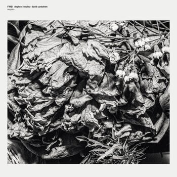 LP ploča Fire! & Stephen O'Malley & David Sandström - Requiēs (Limited Edition) (EP) - 1