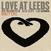 Vinyl Record Mikey Erg - Love At Leeds (LP)