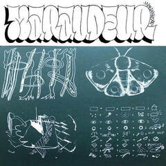 Vinyl Record Maraudeur - Puissance 4 (LP)