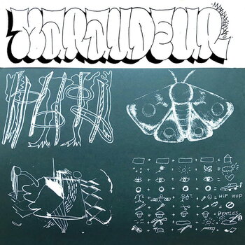 Vinyl Record Maraudeur - Puissance 4 (LP) - 1