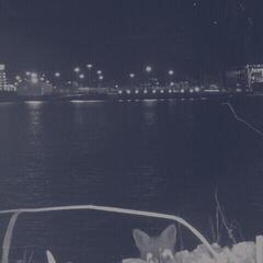 Vinyl Record Fuchs - Fuchs (Limited Edition) (LP)