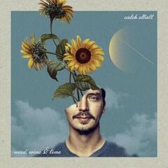 Vinyl Record Caleb Elliott - Weed, Wine And Time (LP)