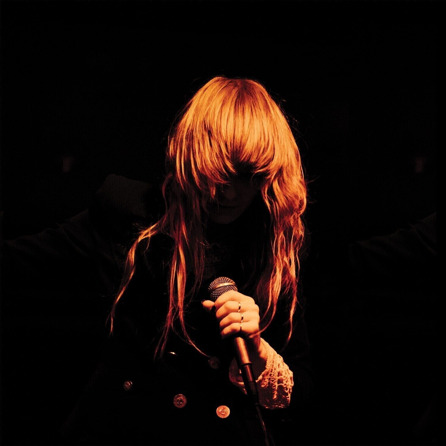 LP plošča Dark Horses - While We Were Sleeping (LP)