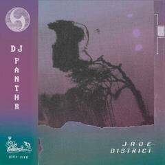 Vinyl Record DJ Panthr - Jade District (LP)