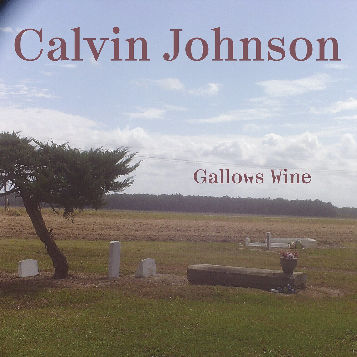 Vinyl Record Calvin Johnson - Gallows Wine (Limited Edition) (LP)