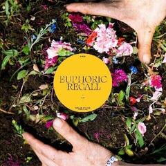 Vinyl Record Braids - Euphoric Recall (LP)