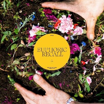 Vinyl Record Braids - Euphoric Recall (LP) - 1
