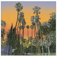 Vinyl Record Gecko Turner - Somebody From Badajoz (Limited Edition) (LP)