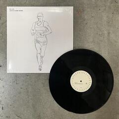 Vinyl Record De Lux - Love Is Hard Work (LP)