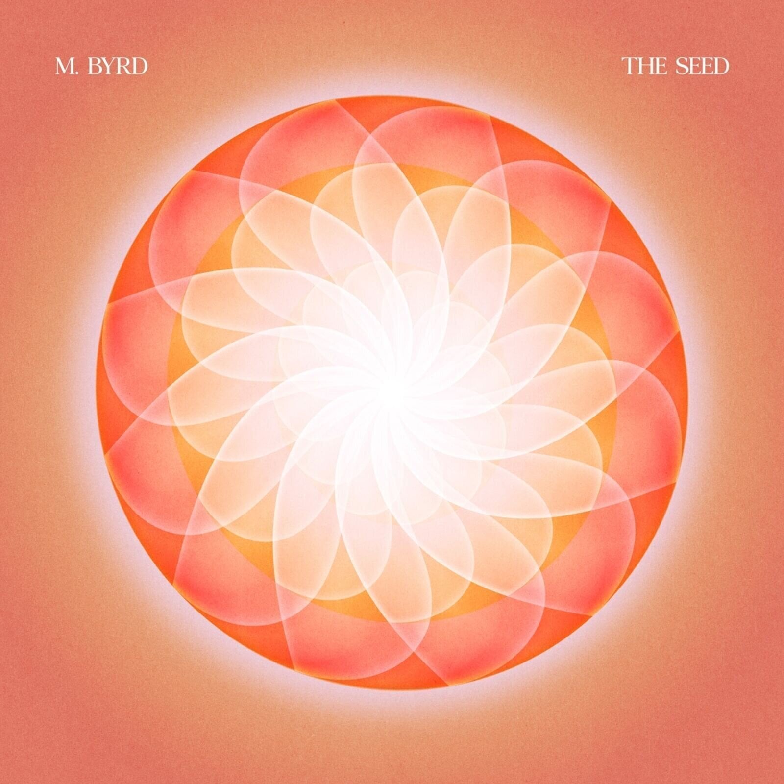 Vinyl Record M. BYRD - The Seed (Transparent Red Coloured) (LP)