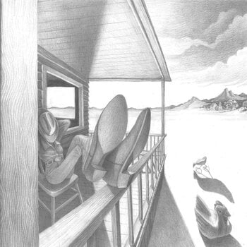 Vinyl Record Daisies - Great Big Open Sky (LP) - 1