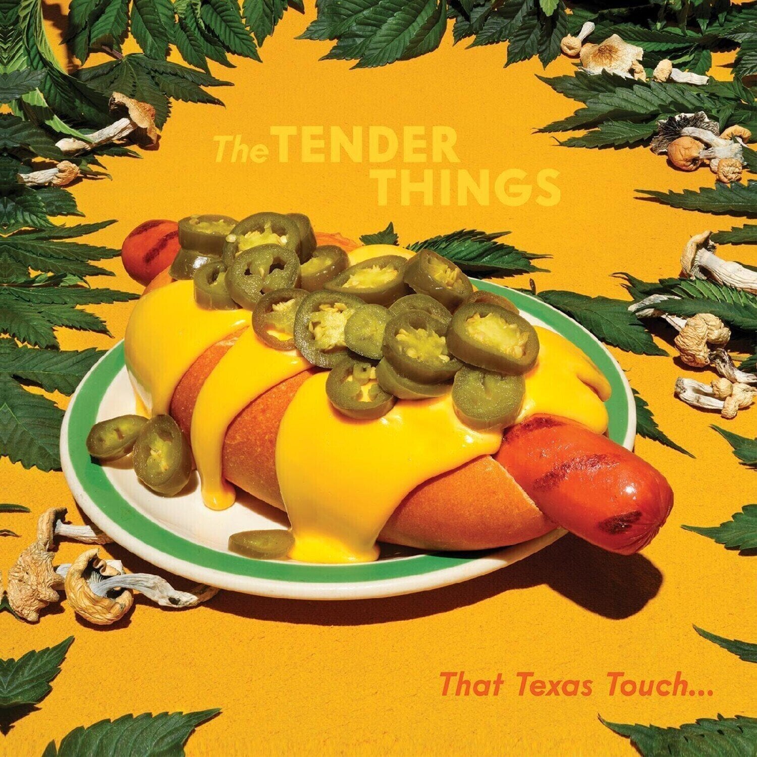 Vinylskiva The Tender Things - That Texas Touch... (LP)
