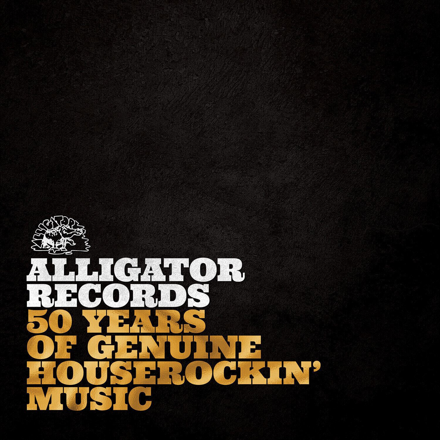 Disc de vinil Various Artists - Alligator Records—50 Years Of Genuine Houserockin' Music (2 LP)