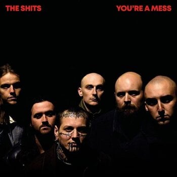 LP plošča The Shits - You're A Mess (Limited Edition) (LP) - 1