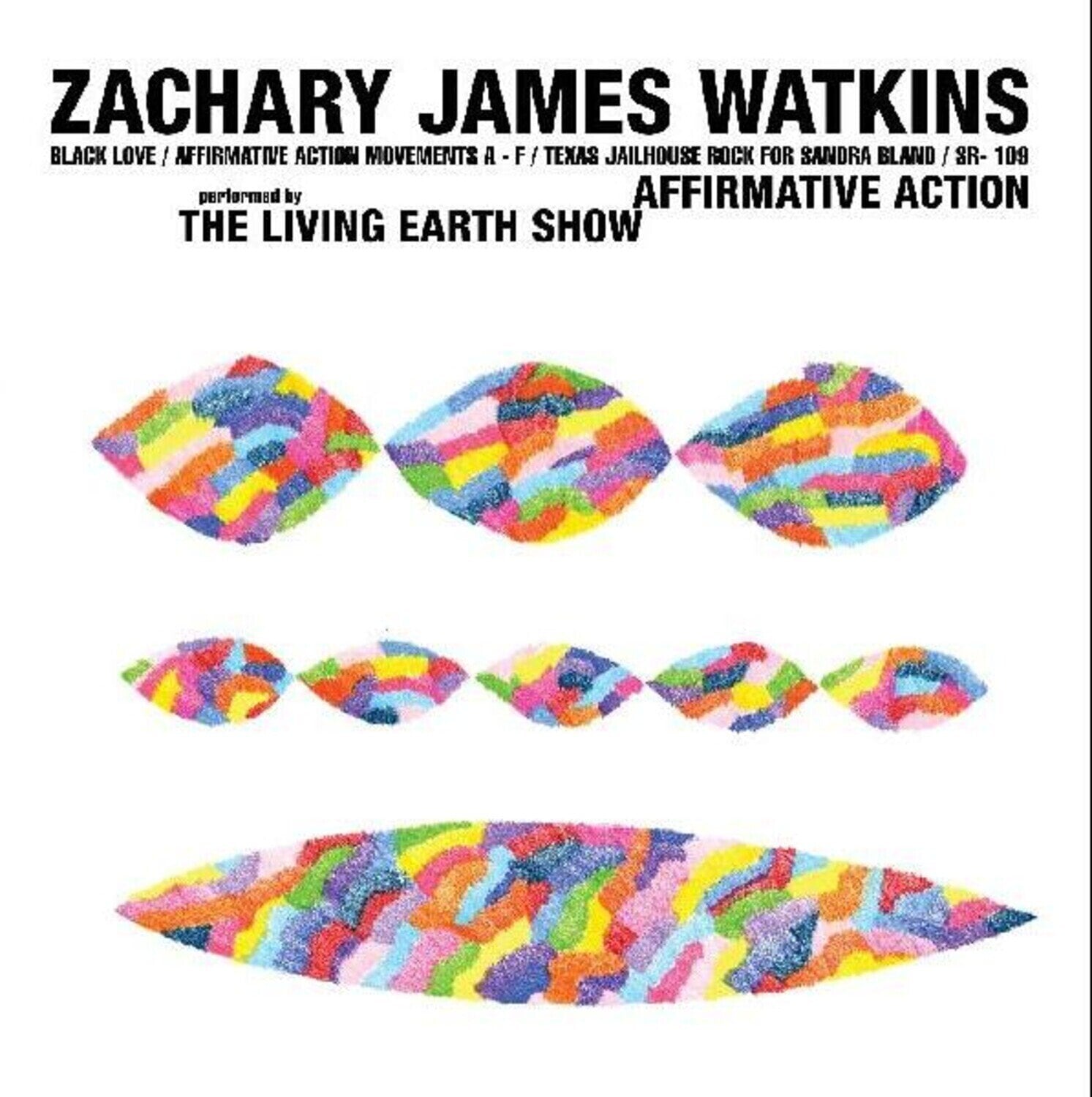 Vinyl Record Zachary James Watkins - Affirmative Action (LP)