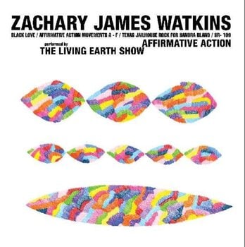 Vinyl Record Zachary James Watkins - Affirmative Action (LP) - 1