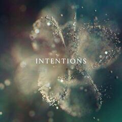Vinyl Record DJ Anna - Intentions (2 LP)