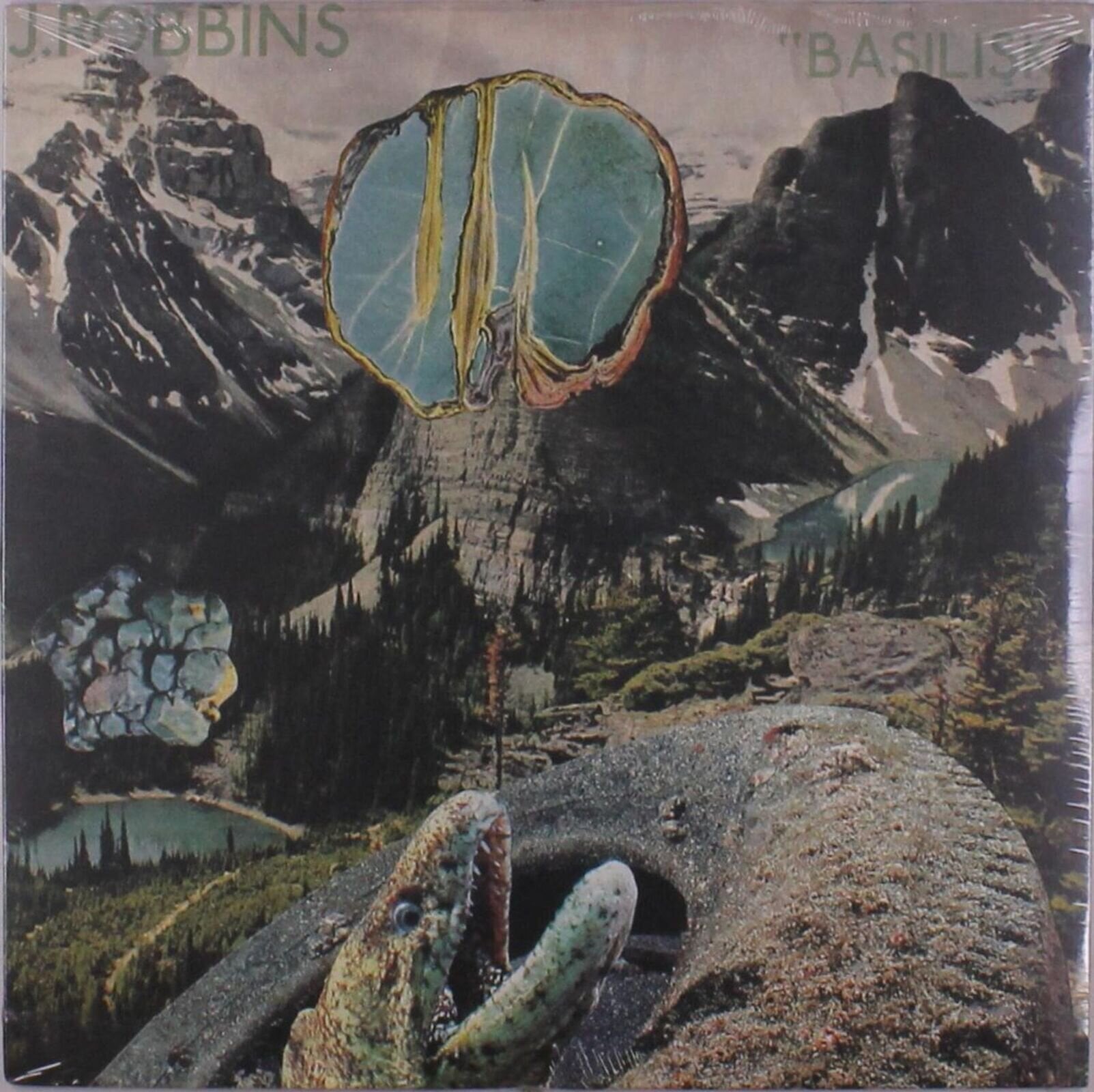 Vinyl Record J. Robbins - Basilisk (LP)