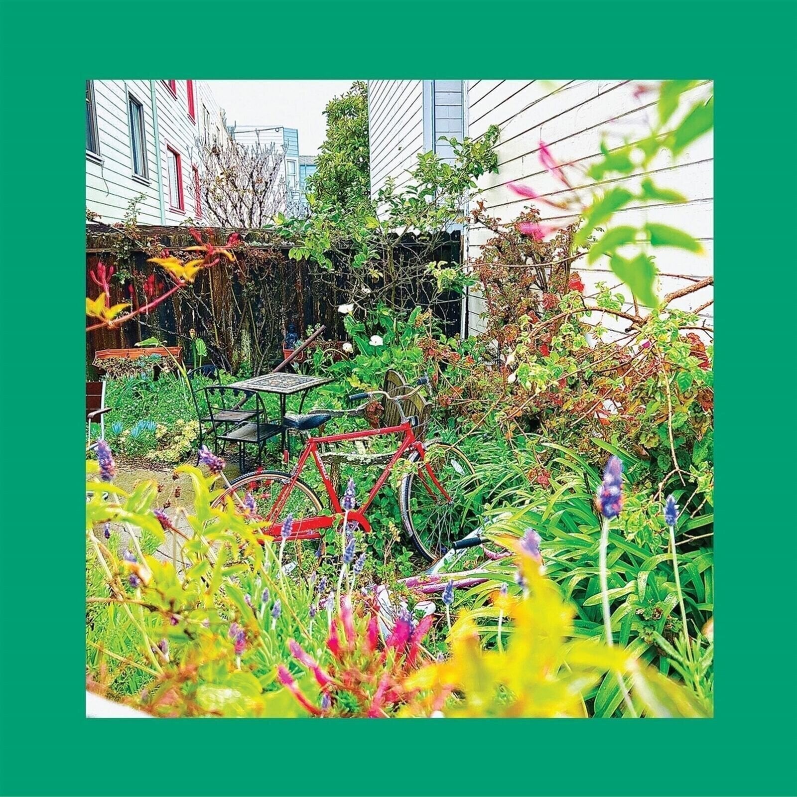 LP plošča The Reds, Pinks And Purples - Unwishing Well (Limited Edition) (White Coloured) (LP)