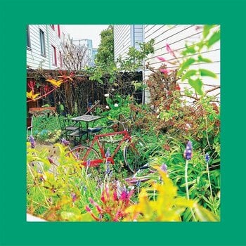 LP plošča The Reds, Pinks And Purples - Unwishing Well (Limited Edition) (White Coloured) (LP) - 1