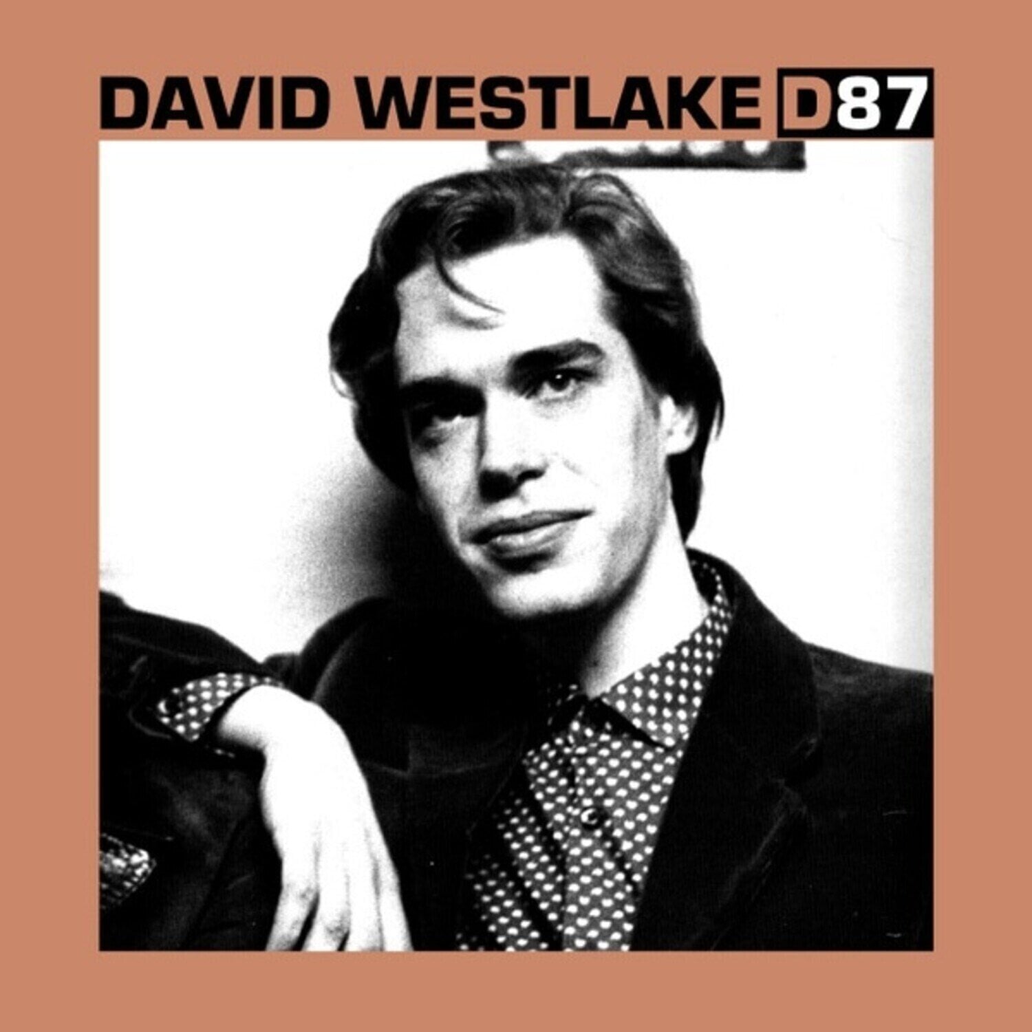 Vinyl Record David Westlake - D87 (Clear Coloured) (LP)