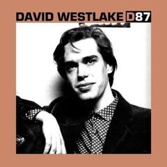 Vinyl Record David Westlake - D87 (Clear Coloured) (LP)