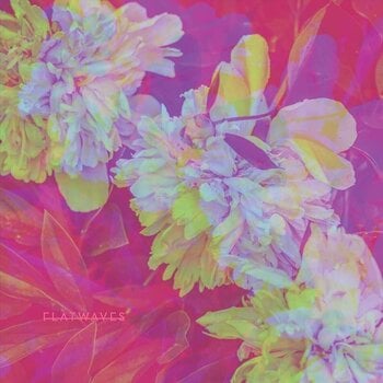 LP ploča Flatwaves - Numbra (Limited Edition) (LP) - 1