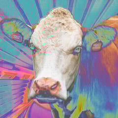 Vinyl Record Eyes Of Others - Eyes Of Others (LP)